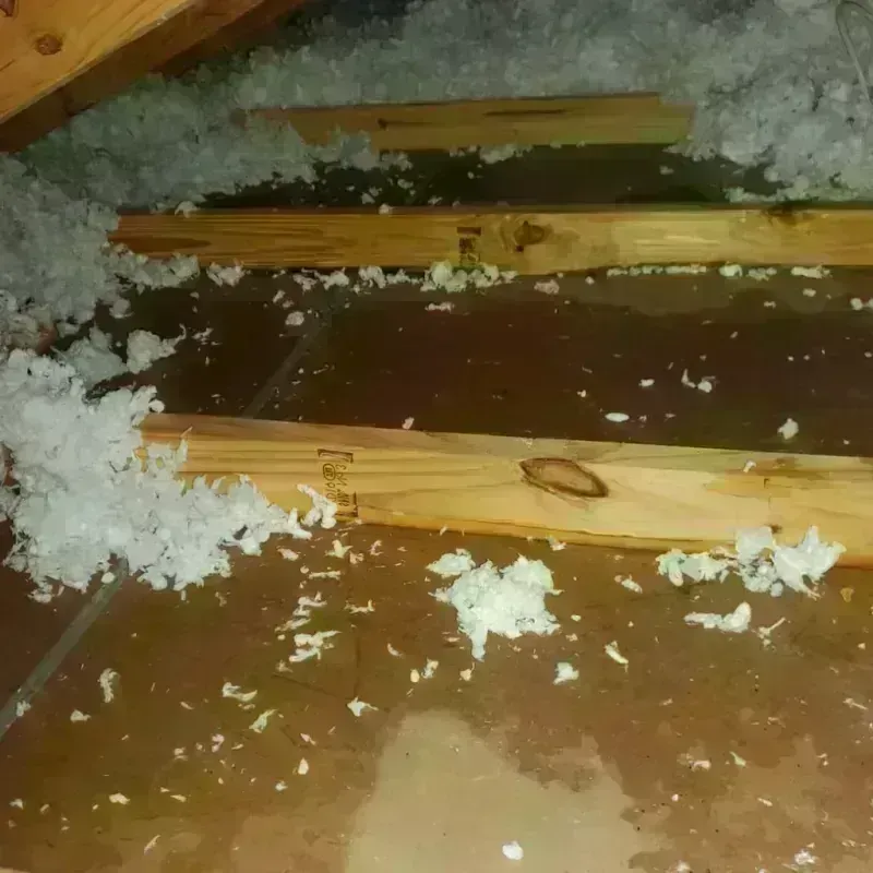 Attic Water Damage in Okeechobee County, FL