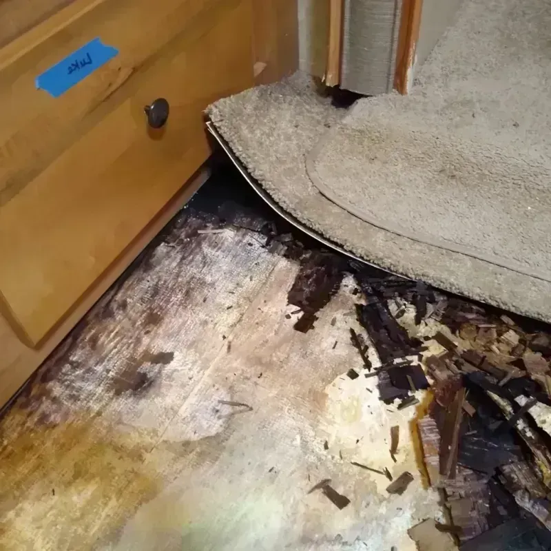 Wood Floor Water Damage in Okeechobee County, FL